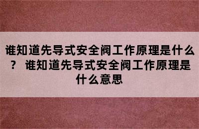 谁知道先导式安全阀工作原理是什么？ 谁知道先导式安全阀工作原理是什么意思